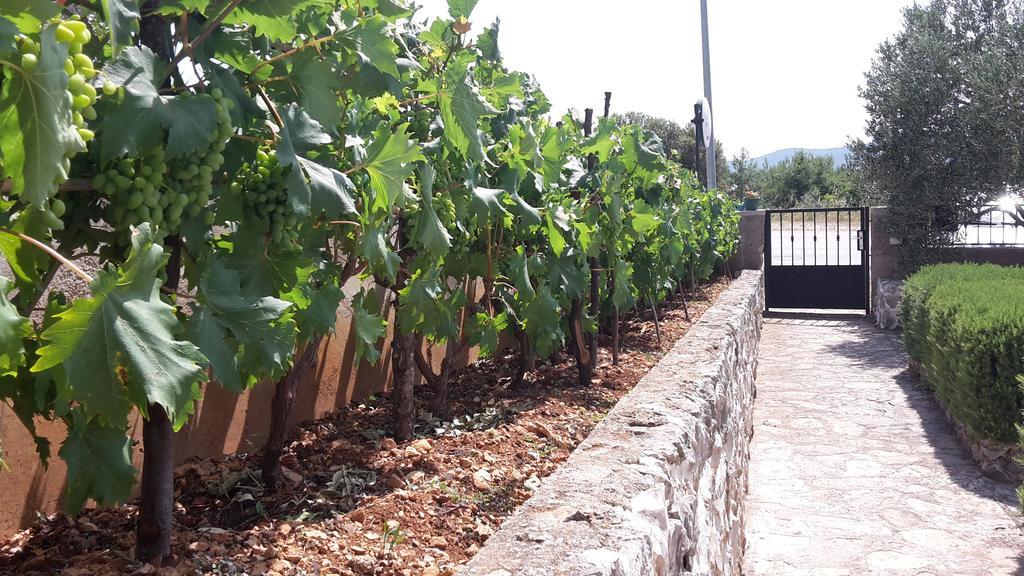 Amadrian Apartments Szybenik Zewnętrze zdjęcie