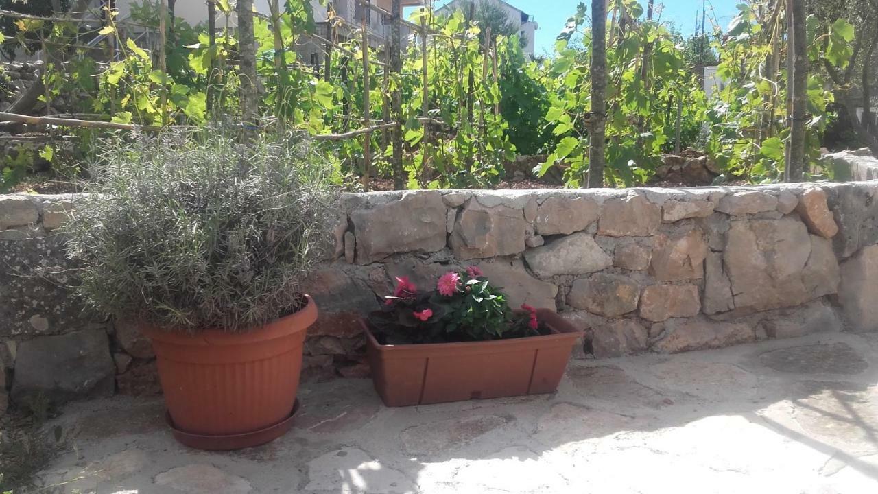 Amadrian Apartments Szybenik Zewnętrze zdjęcie